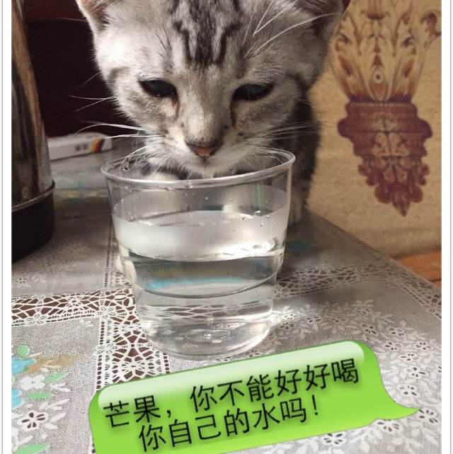 大连艺术学院毕业证办理
